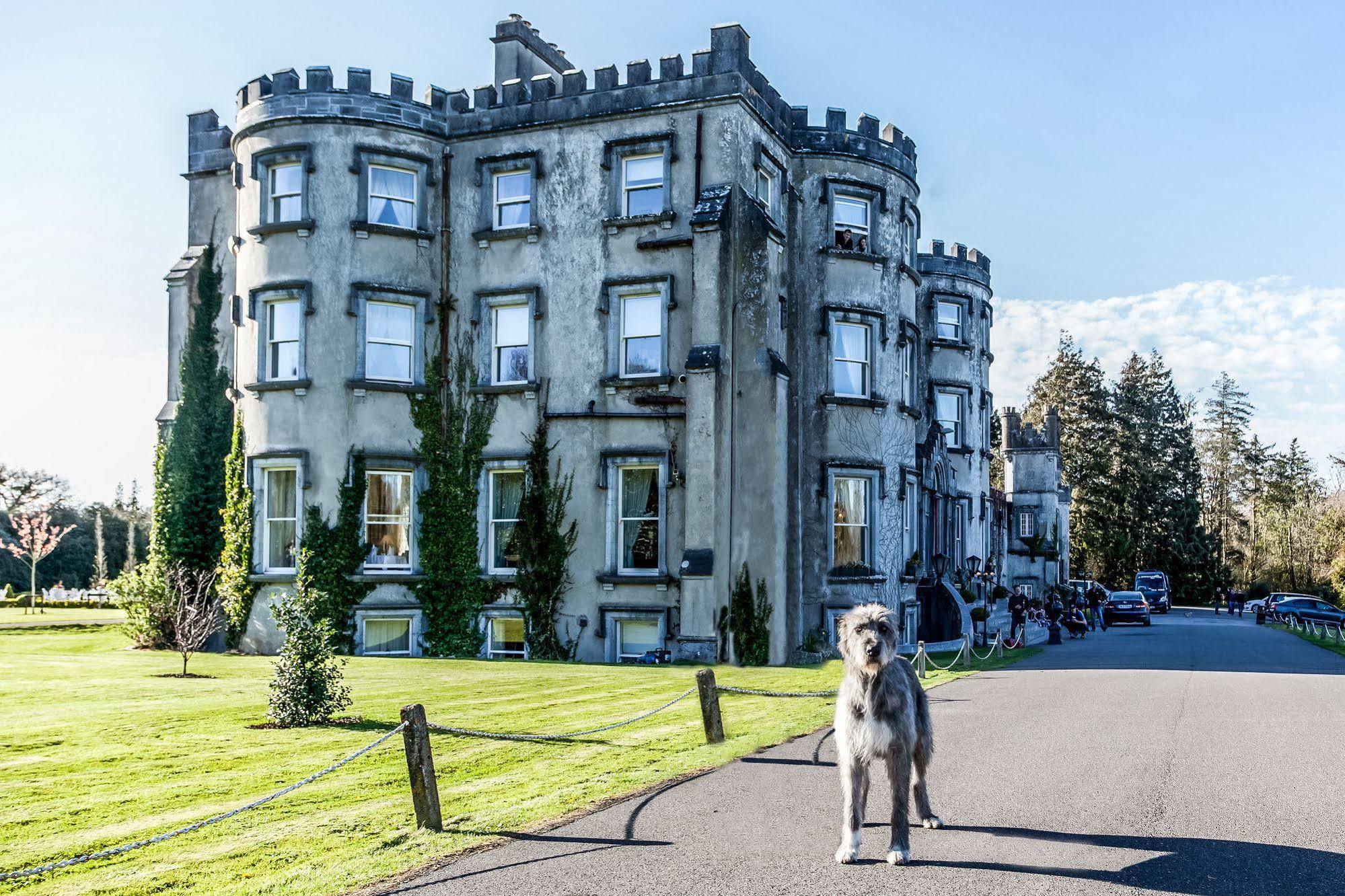Ballyseede Castle Tralee Bagian luar foto